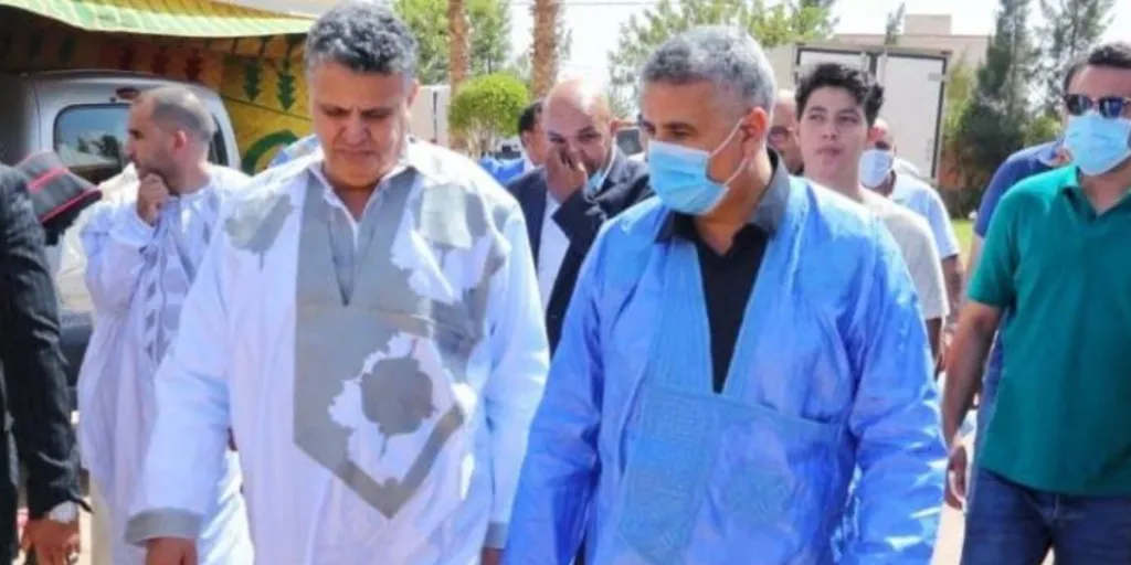 نجلة الراحل بلفقيه تفوز بمقعد في مجلس المستشارين