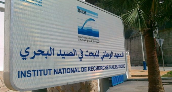 اتهامات بلا دليل أسلوب إعلامي يتجدد، ينتهك سمعة مدير بالقطاع العمومي بالعيون