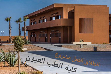 توقيع اتفاقية شراكة بين معهد الترويض الطبي بسويسرا وكلية الطب بالعيون