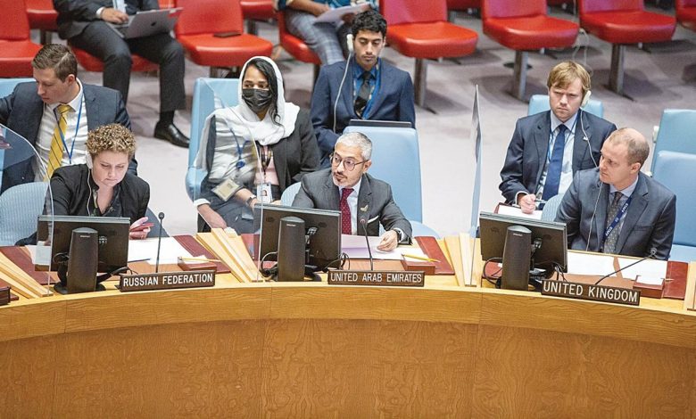 الإمارات تحذر من «تردي» الأوضاع في منطقة الساحل