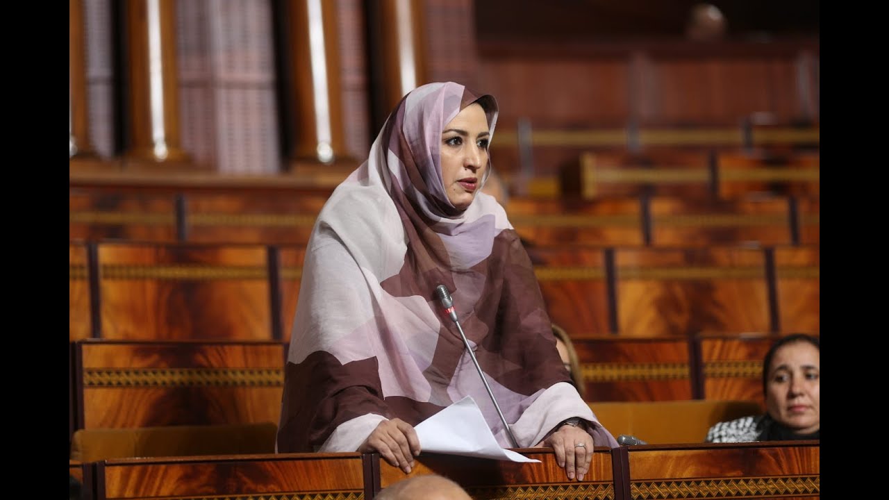 البرلمانية الرفعة ماء العينين توجه سؤالا كتابيا لوزير الفلاحة حول غلاء أسعار اللحوم