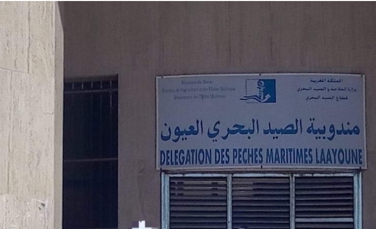 ميناء العيون : مصالح مندوبية الصيد البحري تحجز كمية مهمة من خيار البحر المحظور صيده