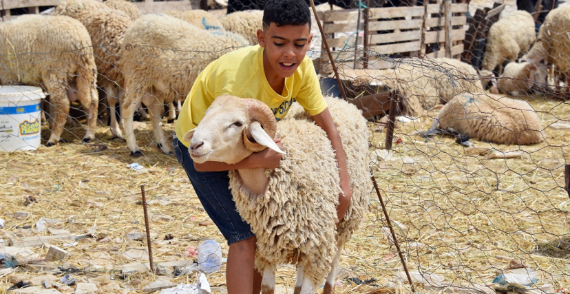 هذا موعد عيد الأضحى 1444-2023 فلكيا