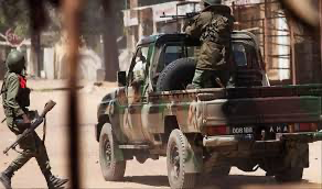 جماعة مسلحة تحاصر قرية بمالي للمرة الثانية