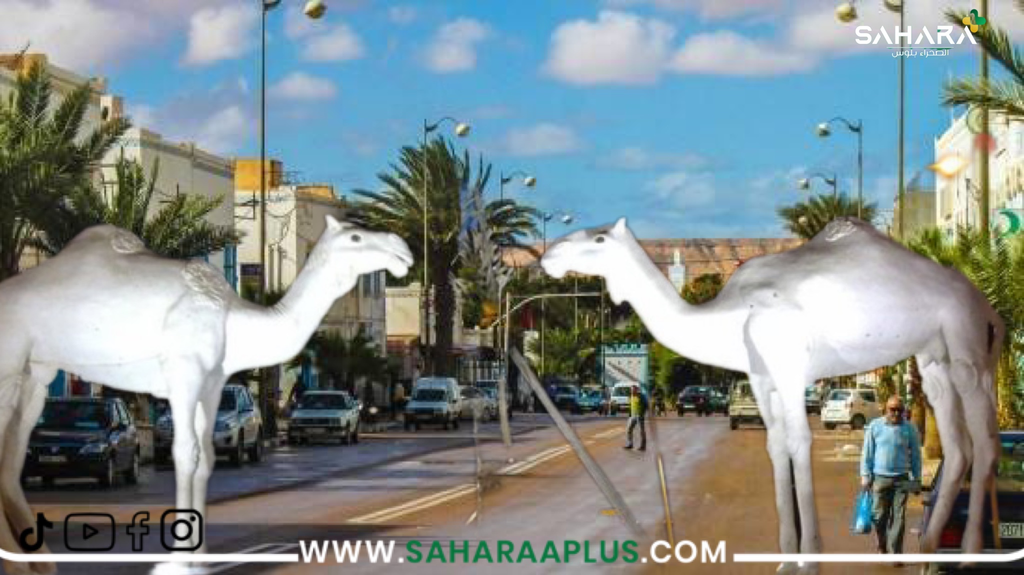 مدينة طانطان: وردة جميلة في غياهب سجون التهميش واللامبالاة