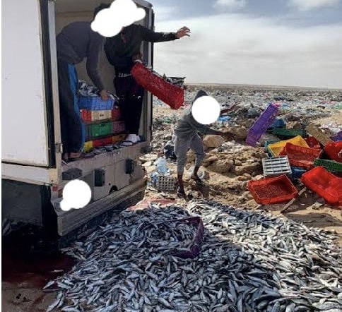 ميناء العيون : حجز أطنان من السمك الغير مصرح بها