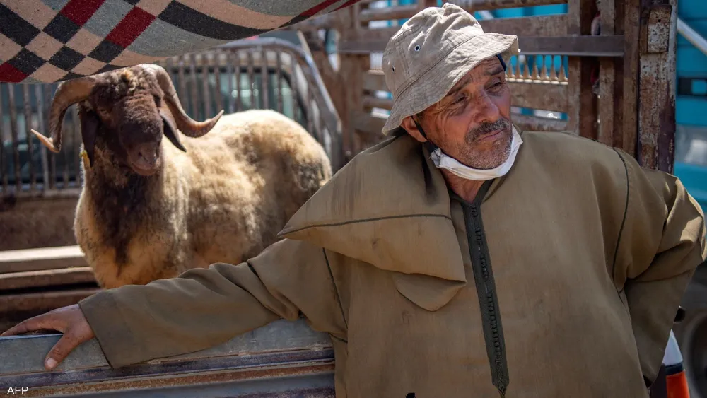 مع إقتراب عيد الأضحى المغاربة قلقون من غلاء الأضاحي