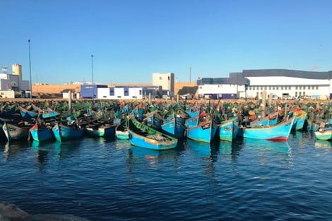 إعتماد راحة بيولوجية بمصيدة الأسماك السطحية الصغيرة الجنوبية المتموقعة بين كاب بوجدور والرأس الأبيض