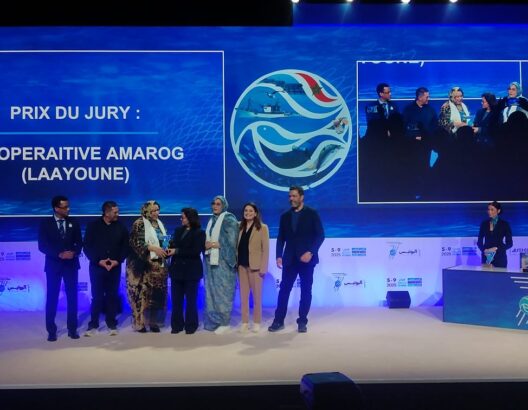 تتويج تعاونية “أماروك” بجائزة أفضل رواق بـ”أليوتيس 2025″