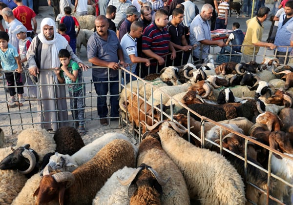 الداخلية تقطع الشك باليقين:منع شامل لكل مظاهر شعيرة الأضحى في الأماكن العامة