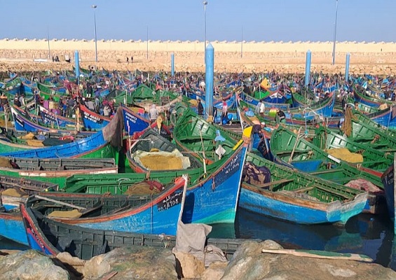 التعاونيات البحرية بالجنوب تنتفض ” لا لحرب اللوبيات… نعم لتنمية الاقتصاد الأزرق