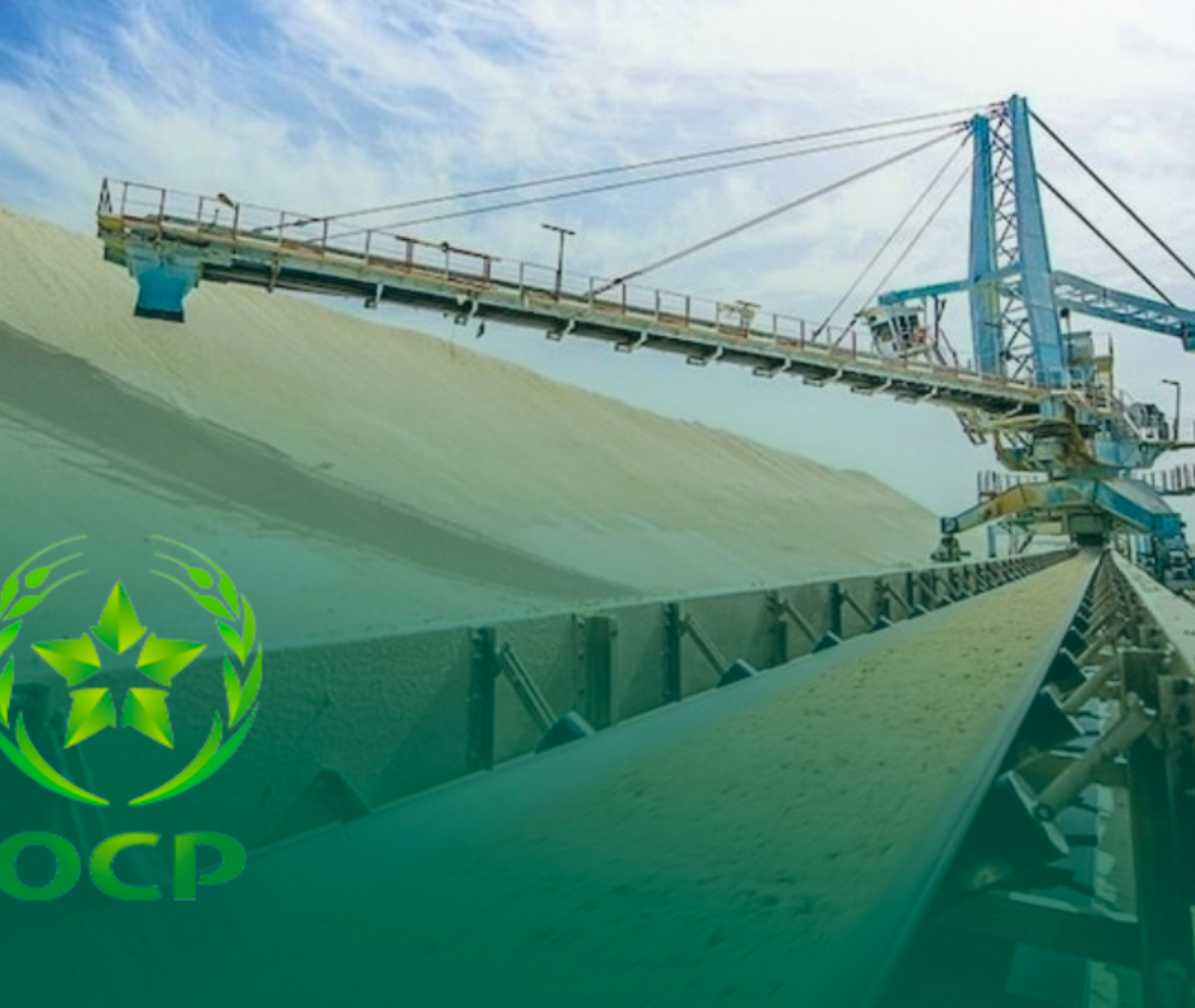 الفوسفاط المغربي يواصل تألقه.. معاملات OCP تتجاوز 52 مليار درهم في ستة أشهر فقط