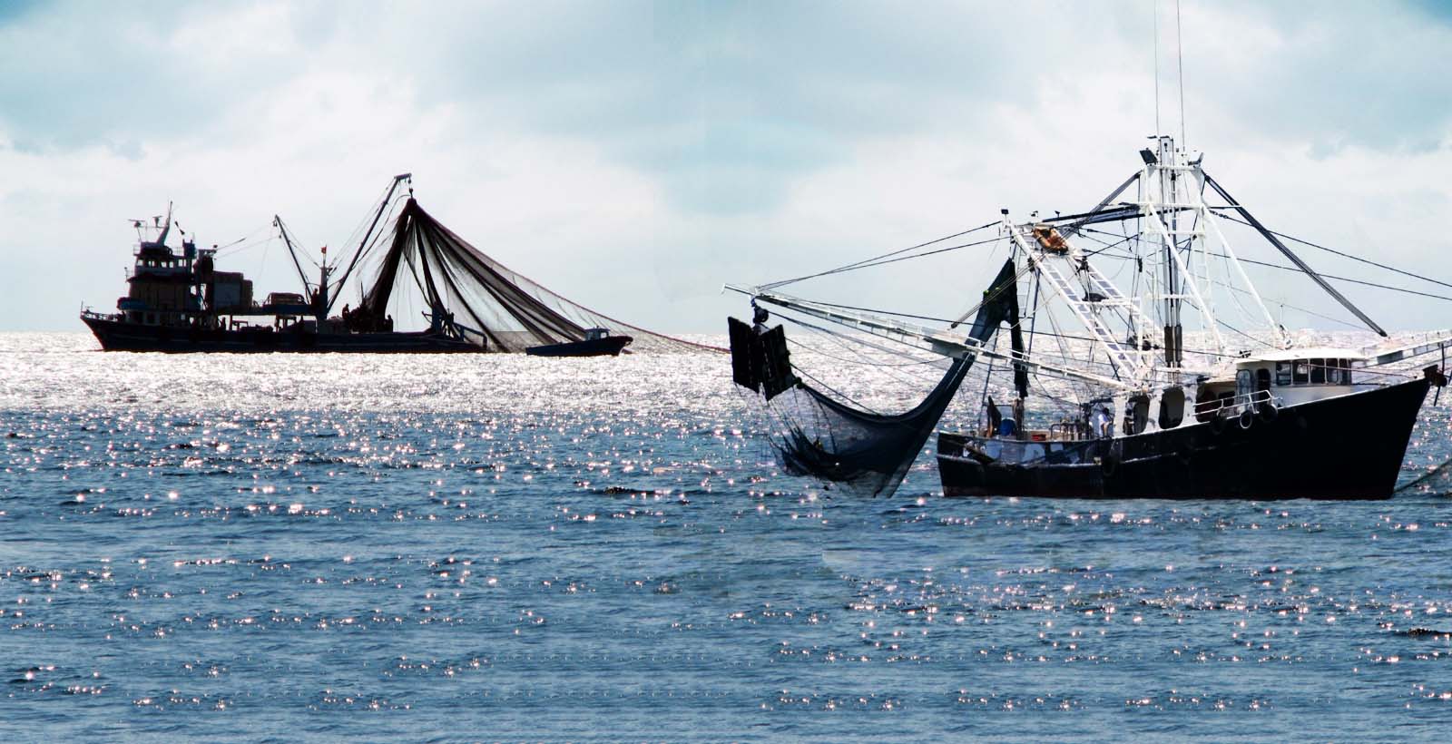 مراكب الصيد البيلاجيك في قلب سؤال برلماني حول حماية الثروة السمكية والمصايد الوطنية