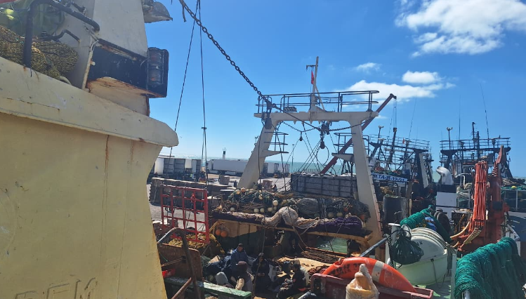 الداخلة :توضيح مهني بخصوص ما راج حول وفاة شخص على متن سفينة صيد في أعالي البحار