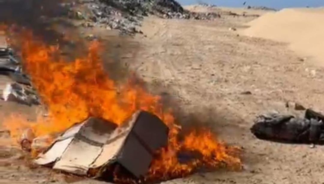 حجز وإتلاف 110 كلغ من صغار الأخطبوط بميناء طرفاية