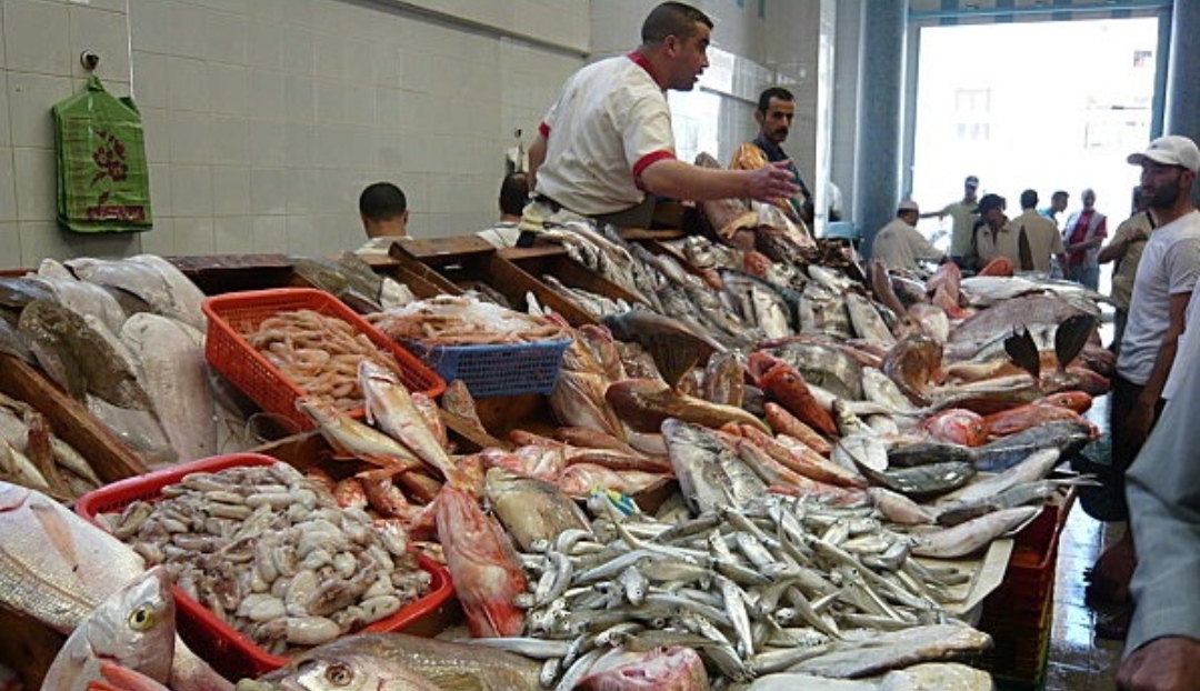 أسعار السمك في رمضان بين التقلبات والوفرة