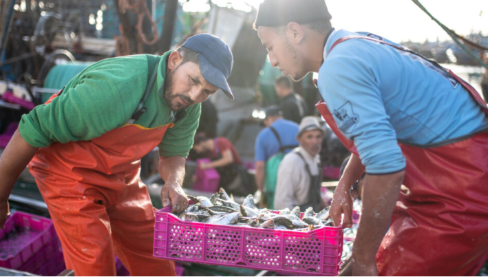 ارتفاع مفرغات الصيد بميناء العيون إلى أزيد من 11 ألف طن خلال مطلع 2026