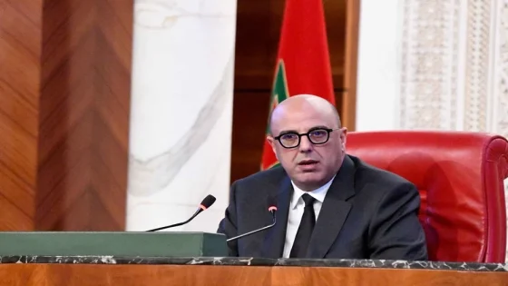 ولد الرشيد: المغرب يجعل التنمية المستدامة والانتقال البيئي في صلب سياساته الاستراتيجية