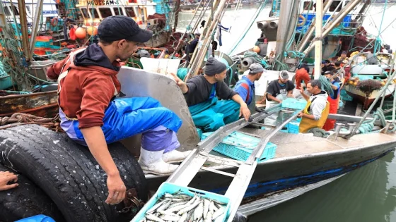 ميناء العيون يقود انتعاشة الصيد البحري بأرقام قياسية مع بداية أبريل