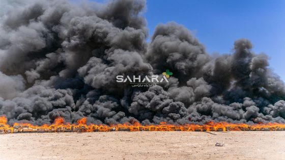 في إطار مكافحة الجريمة العابرة للحدود.. إتلاف أطنان من المخدرات ببوجدور