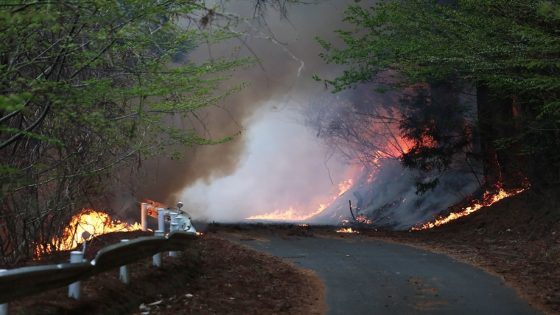 السيطرة على أكبر حريق غابات منذ عقود في اليابان بعد 11 يوما من المكافحة في إيواتي