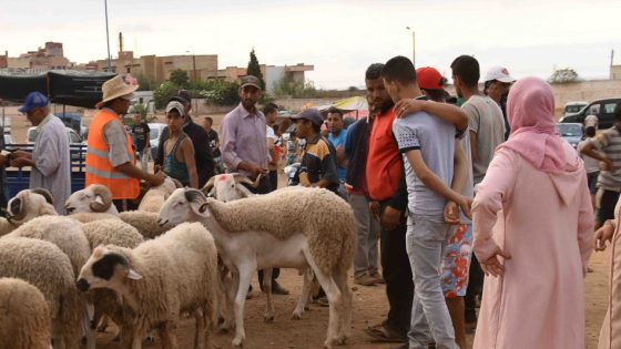 عيد الأضحى في المغرب… من فرحة البساطة إلى وجع الغلاء