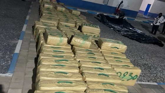 إحباط تهريب أزيد من 6 أطنان من الشيرا بسيدي إفني وتوقيف سائق شاحنة قادمة من الشمال