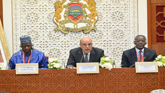 ولد الرشيد: إفريقيا اليوم ليست فقط قارة التحديات بل هي أيضا قارة الفرص والإمكانات البشرية