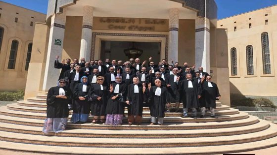 الأسبوع الرابع من المقاطعة.. محامو العيون يحتجون أمام محكمة الاستئناف رفضًا لمشروع قانون المحاماة