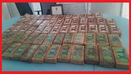 إحباط محاولة لتهريب أكثر من 75 كيلوغراماً من الكوكايين بمعبر الكركرات