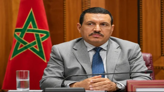 بعد مغادرته من الأحرار الى الاستقلال المحكمة الدستورية تجرد حمية من مقعده البرلماني