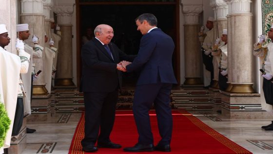 تبون في مدريد أكتوبر المقبل.. محطة جديدة لترسيخ التقارب الجزائري الإسباني